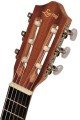 guitalele ever głowka.jpg