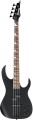 Ibanez RGB300 BKF.jpg