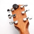 PW-CT-12 HEDSTOK TUNER.jpg