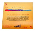 ascente-a310.jpg