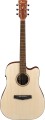 Ibanez-PF10CE-OPN.jpg