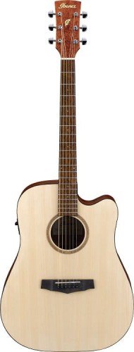 Ibanez-PF10CE-OPN.jpg