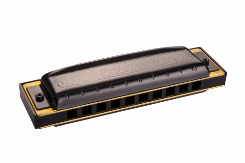 PRO HARP 1.jpg
