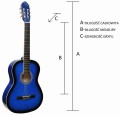 CG-1 BLUE BURST TANIA DOBRA GITARA.jpg