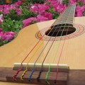 gitarra.jpg