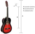 CG-1 SB TANIA DOBRA GITARA.jpg
