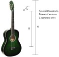 CG-1 GREEN TANIA DOBRA GITARA.jpg
