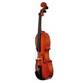 EV-611 Violine 44 009.JPG