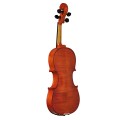 EV-611 Violine 44 007.JPG