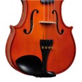 EV-611 Violine 44 012.JPG