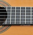 gitara 6.jpg