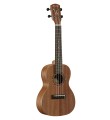RU22C-Side-1.jpg