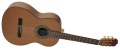 Photoroom-20250306_123516.png