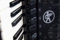 hohner-gal-amica-forte-96-05.jpg