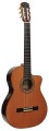 RAIMUNDO GUITARRS 8.jpg