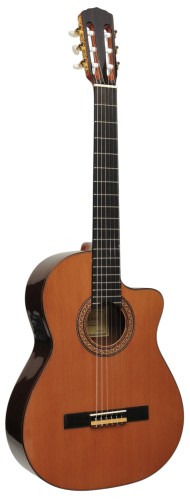 RAIMUNDO GUITARRS 8.jpg