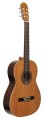 raimundo guitarrs 10.jpg