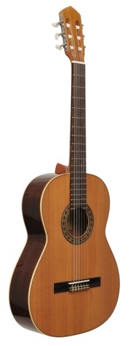 raimundo guitarrs 10.jpg