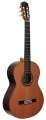 RAIMUNDO GUITARS 11.jpg