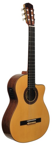 RAIMUNDO GUITARS 12.jpg