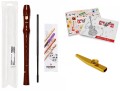 9555 z zeszytem i kazoo.jpg