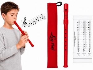 FLAŻOLET Z ETUI - SZKOLNY CZERWONY TONACJA "D" EVER PLAY SI-922 RD