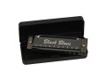 MINIATURA BLACK BLUES C.jpg