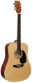 Gitara-akustyczna-Dreadnought-PRIMA-PAG-100NT.jpg