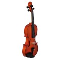 EV-611 Violine 44 006.JPG
