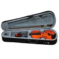 EV-611 Violine 44 002.JPG