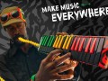 melodica-pianica-hohner-airboard-rasta-37-teclas-D_NQ_NP_652035-MPE25925672902_082017-F.jpg